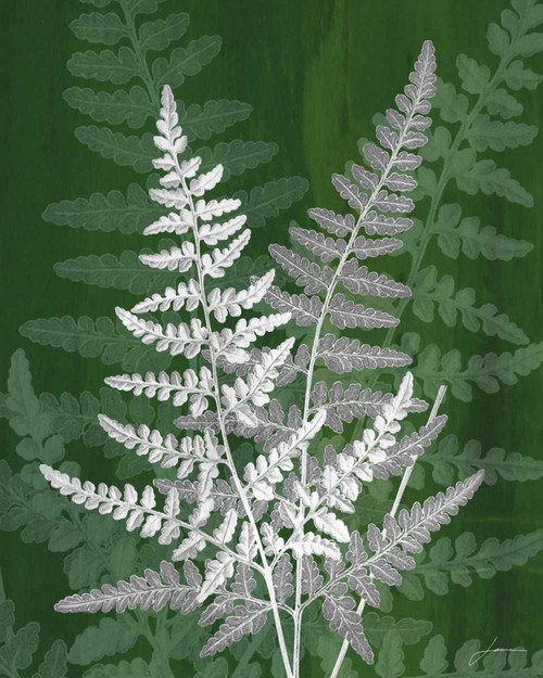 Jewel Ferns IV Poster Print - James Burghardt