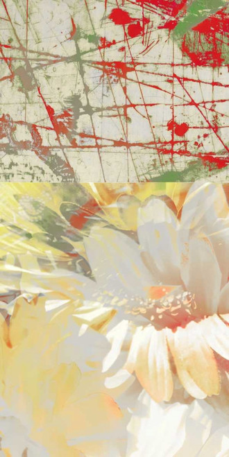 White Wonders II Poster Print - Ricki Mountain