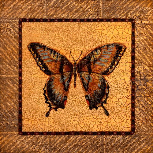 Crackled Butterfly - Swallowtail Poster Print - Wendy Russell
