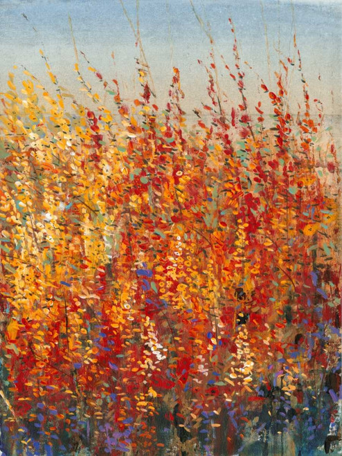 High Desert Blossoms II Poster Print - Tim OToole