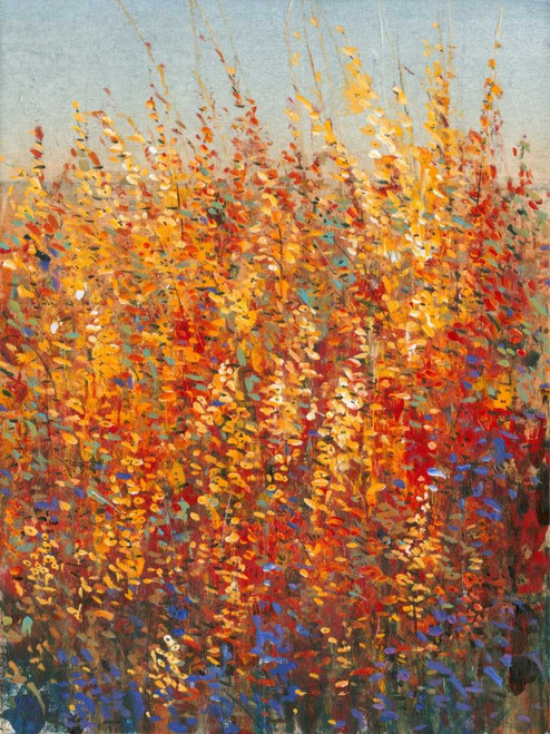 High Desert Blossoms I Poster Print - Tim OToole