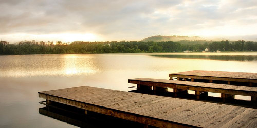 Pointing Toward the Sun Poster Print - Danny Head