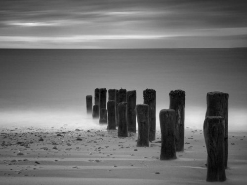 Marching Poster Print - Martin Henson