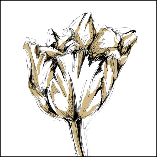 Small Tulip Sketch I Poster Print - Ethan Harper