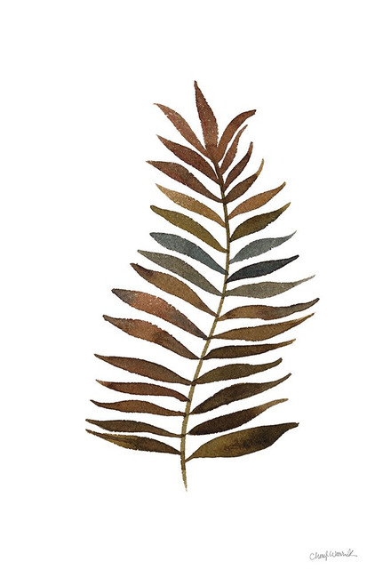 Botanique Beauty II Poster Print - Cheryl Warrick