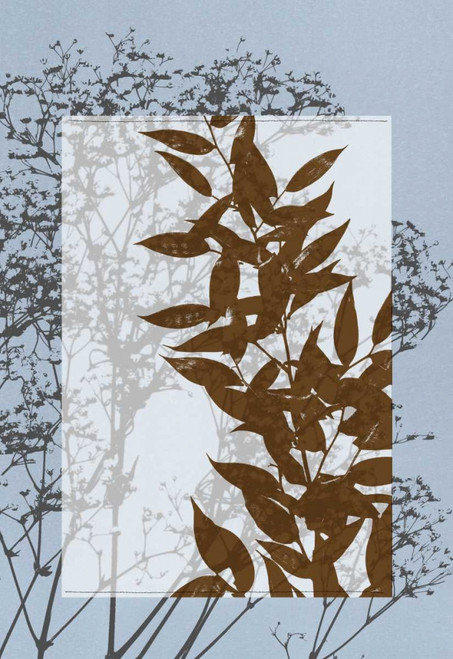 Small Translucent Wildflowers VI Poster Print - Jennifer Goldberger