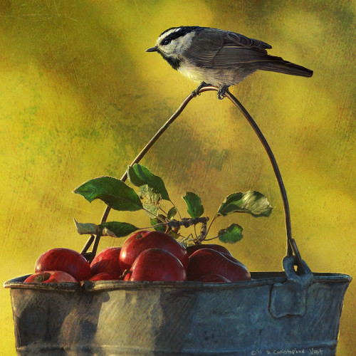 Apples and Chickadee Poster Print - Chris Vest