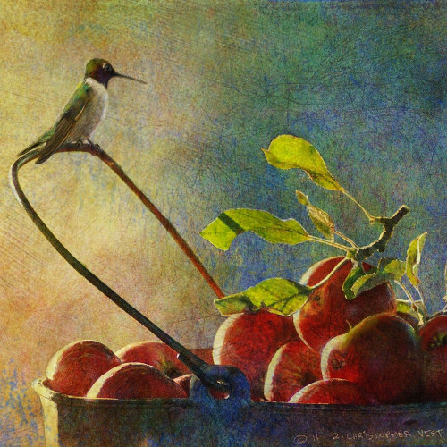 Apples and Hummer Poster Print - Chris Vest