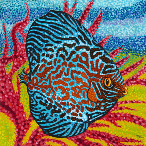 Brilliant Tropical Fish II Poster Print - Carolee Vitaletti