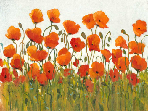 Rows of Poppies I Poster Print - Tim OToole