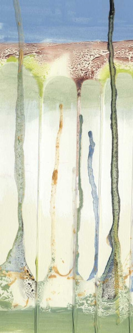 Tributary II Poster Print - Alicia Ludwig