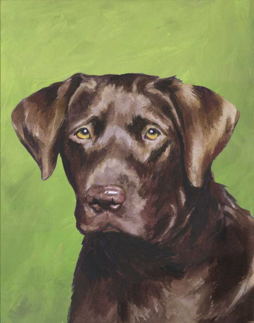 Dog Portrait-Chocolate Poster Print - Jill Sands