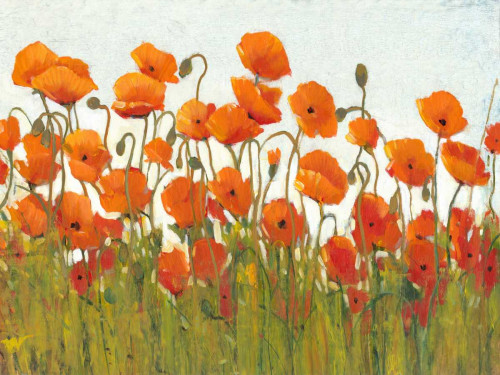 Rows of Poppies II Poster Print - Tim OToole