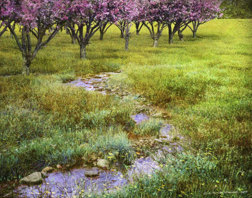 Summer Path Poster Print - Chris Vest