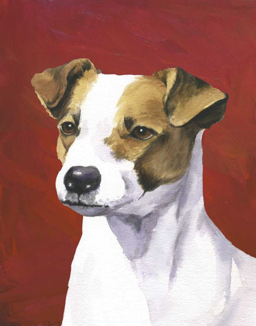 Dog Portrait-Jack Poster Print - Jill Sands