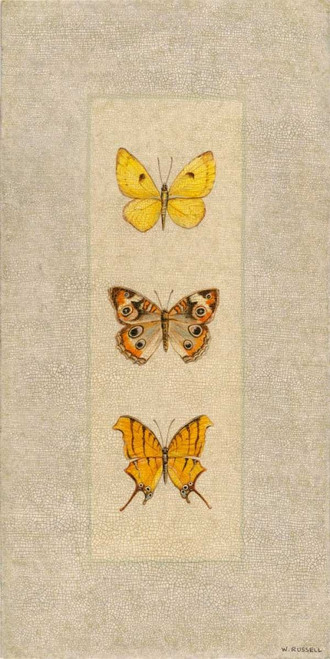 Butterfly Trio I Poster Print - Wendy Russell