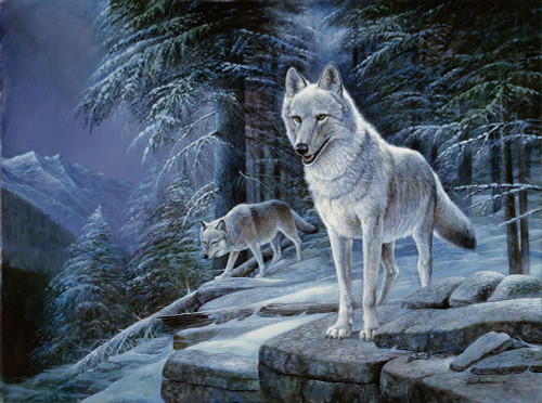 Shadows In The Night Poster Print - Ruane Manning