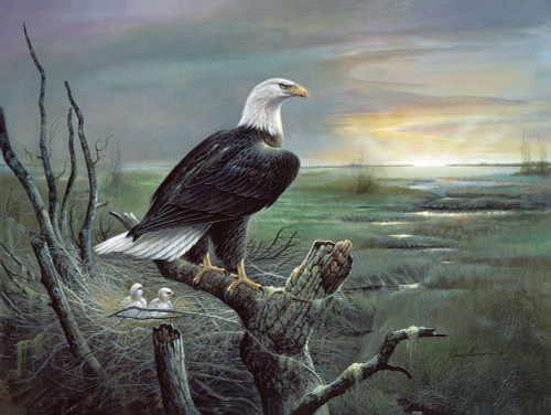 Beauty at Sunrise Poster Print - Ruane Manning