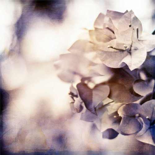 Purple Dusk II Poster Print - Emily Robinson