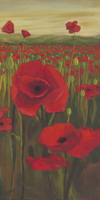 Red Poppies in Field II Poster Print - Julie Joy