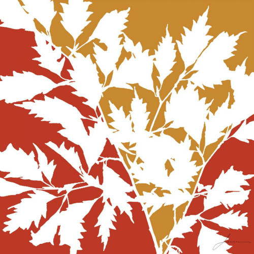 Split Stem II Poster Print - James Burghardt