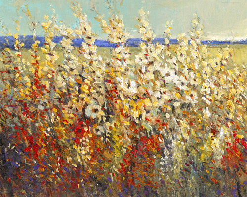 Field of Spring Flowers II Poster Print - Tim OToole