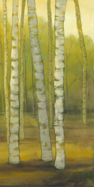 Sunny Birch Grove II Poster Print - Julie Joy
