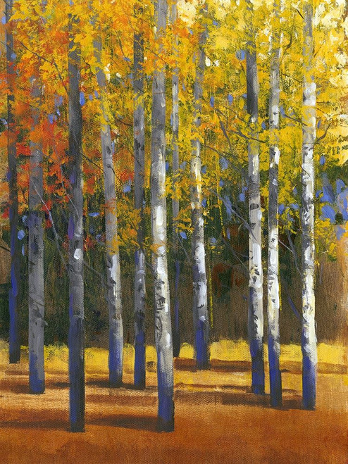 Fall in Glory I Poster Print - Tim OToole