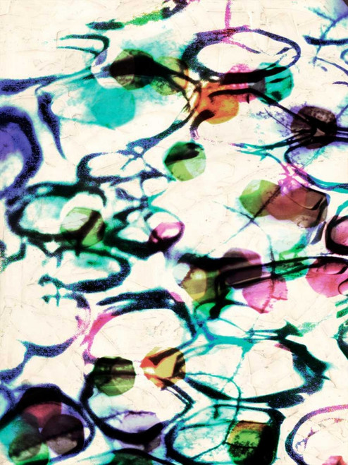 Bubble Abstract I Poster Print - Pam Ilosky