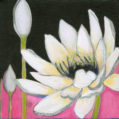 Bliss Lotus III Poster Print - Jodi Fuchs