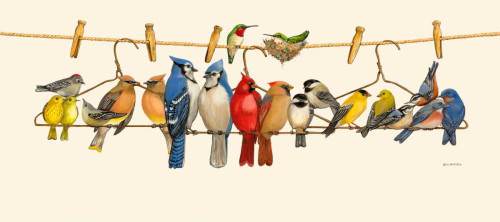 Bird Menagerie II Poster Print - Wendy Russell