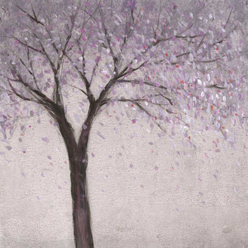 Spring Blossom II Poster Print - Tim OToole