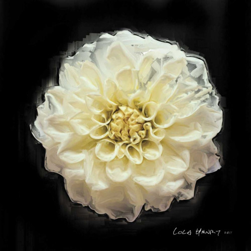 Vibrant Flower V Poster Print - Lola Henry