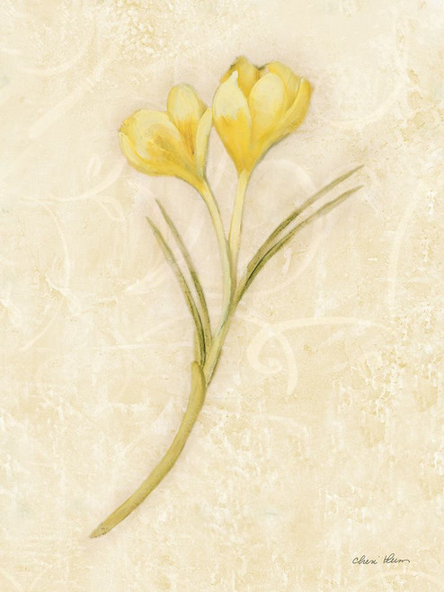Yellow Crocus Stem Poster Print - Cheri Blum