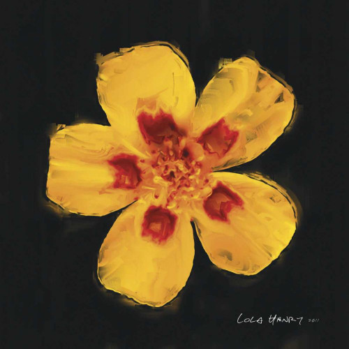 Vibrant Flower X Poster Print - Lola Henry