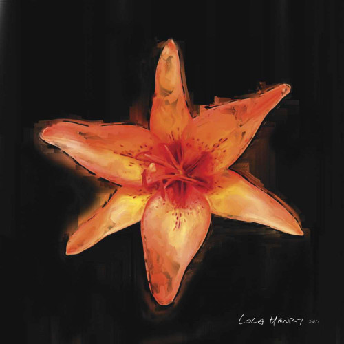 Vibrant Flower VI Poster Print - Lola Henry