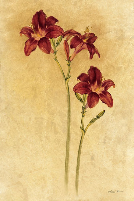 Red Day Lily Poster Print - Cheri Blum