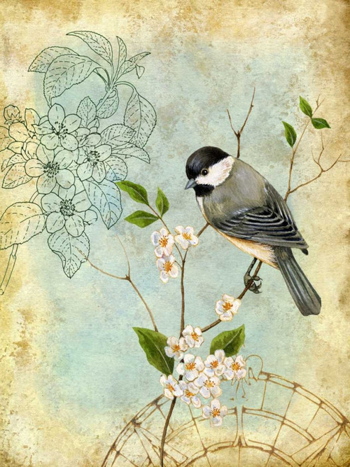 Songbird Sketchbook II Poster Print - Jane Maday