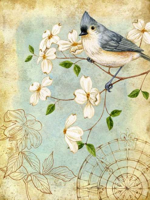 Songbird Sketchbook IV Poster Print - Jane Maday
