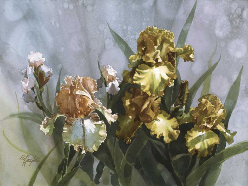 Hadfield Irises I Poster Print - Clif Hadfield