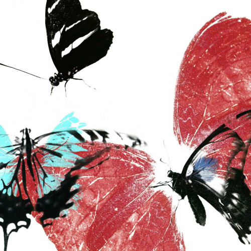 Butterflies Dance VIII Poster Print - A. Project