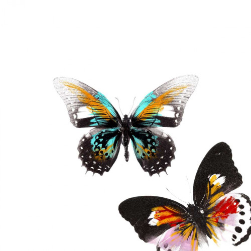 Butterflies Dance VI Poster Print - A. Project