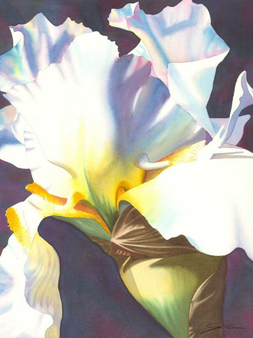 Blue Iris I Poster Print - Jason Higby