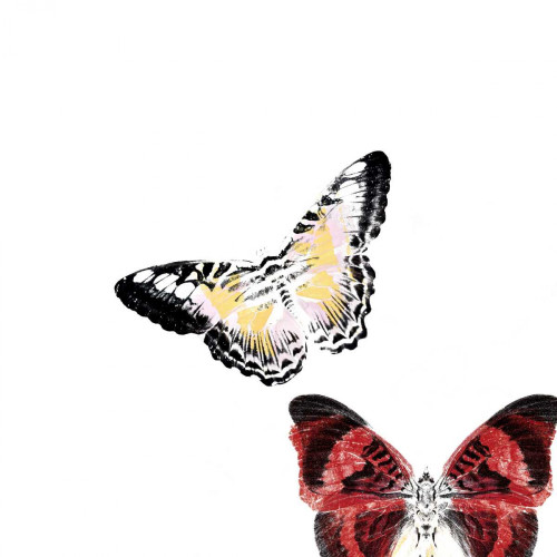 Butterflies Dance V Poster Print - A. Project