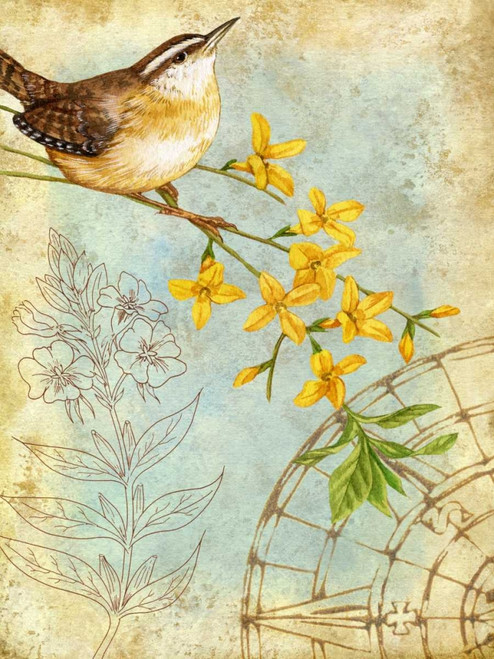 Songbird Sketchbook I Poster Print - Jane Maday