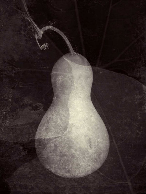 Gourd I Poster Print - Elena Ray