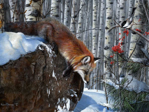 Fox in Winter Poster Print - Kevin Daniel