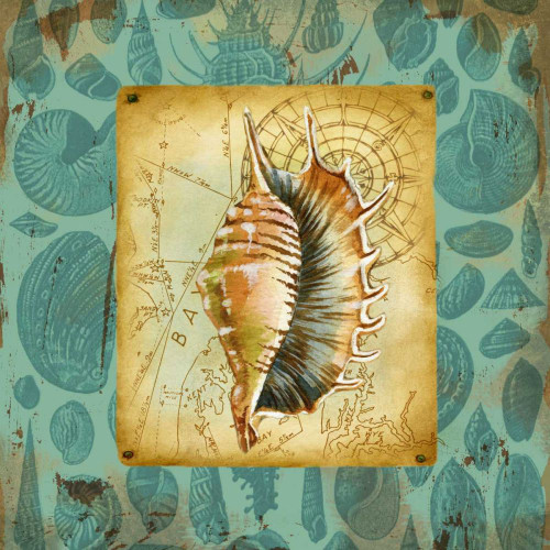 Seaside Gifts IV Poster Print - Jane Maday