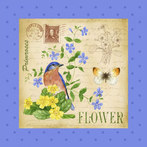 Blooming Garden I Poster Print - Jane Maday