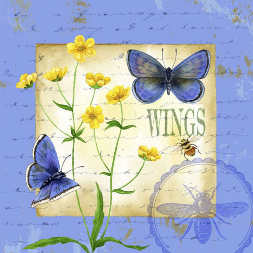 Butterfly Meadow IV Poster Print - Jane Maday